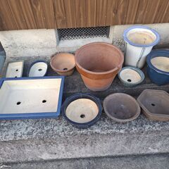 植木鉢(陶器)の画像