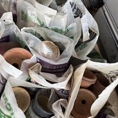素焼きの鉢などもらってください！の画像