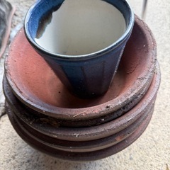素焼きの鉢などもらってください！の画像