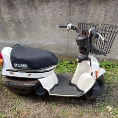 神戸市西区★ホンダ　スカッシュ★レストアベースの画像