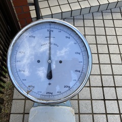 ISHIDA 5kg〜50kg 自動台秤の画像