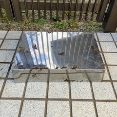 ISHIDA 5kg〜50kg 自動台秤の画像