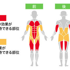 スマートワンダーコア　エクササイズ　ダイエット　フィットネスの画像