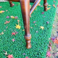 キツツキ　チェア　木製チェア　ダメージ有りの画像