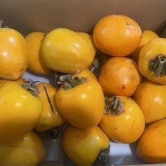 渋柿譲って、売って頂きたいです。