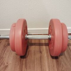 10キロダンベル2個の画像