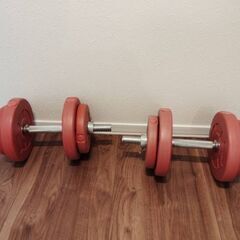 10キロダンベル2個の画像