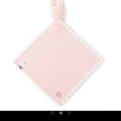 カシウエア ブランケットの画像