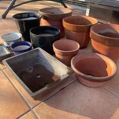 植木鉢　11点　
まとめ売りの画像