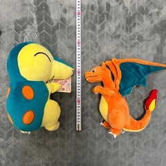 【美品】ポケモンぬいぐるみセットの画像