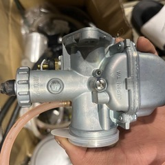 シャリーの画像