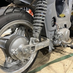 シャリーの画像