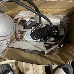 シャリーの画像