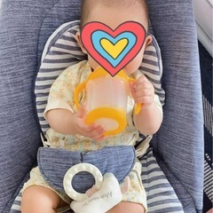 音も流れるバウンサー ブルーの画像