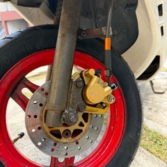 チャンプRsSの画像