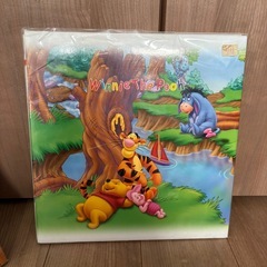 ディズニーアルバムの画像