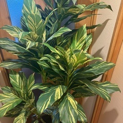 フェイクグリーン特大の画像