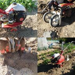 YANMAR MTe30 ヤンマー　管理機　耕運機　管理機の画像