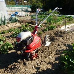 YANMAR MTe30 ヤンマー　管理機　耕運機　管理機の画像