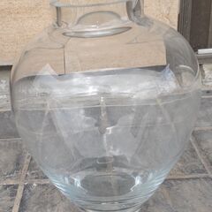 カメ３個t超低価で譲ります！！の画像