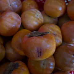 富有柿　５個300円の画像