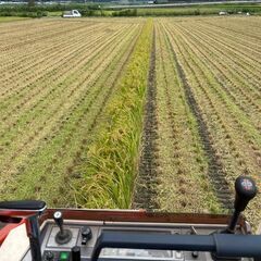 🌾令和7年度 福岡県産 認証米 夢つくし 新米（精米 ）10kg 【嘉麻市足白地区の田んぼで栽培生産】の画像