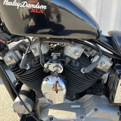 ハーレーダビッドソンの画像