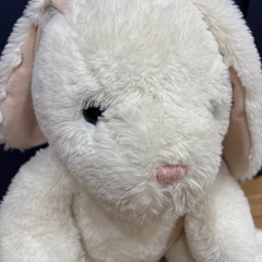 うさぎ　ぬいぐるみ　の画像