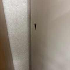 ☆ドリーム荒牧店☆ジモティー割引有☆【クリーニング済み】ニトリ/2枚スライド扉オープンボードの画像