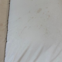 Francfrancカランフロアソファの画像