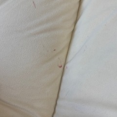 Francfrancカランフロアソファの画像