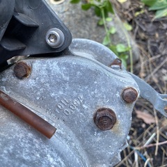 ライブDIO エンジン&ハーネスの画像