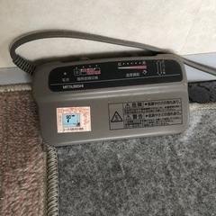 ホットカーペットの画像