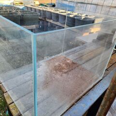 ガラス水槽の画像