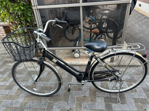 レイアウトセット【LSB018】 スマトラブランチウッド 水槽 まとめ買い対応 レイアウトセット【LSB018】 スマトラブランチウッド アウトレット