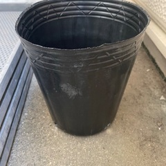 【無料】ポリポット（7号、21cm）15個＋苗箱4個の画像