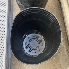 【無料】ポリポット（7号、21cm）15個＋苗箱4個の画像