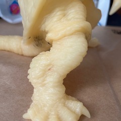 白いガメラの画像