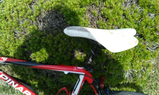 ロードバイク PINARELLO FP-1