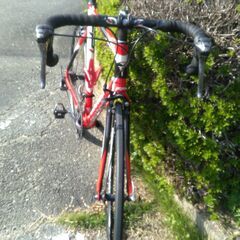 ロードバイク PINARELLO FP-1 の画像