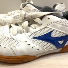 ミズノ 体育館シューズにの画像