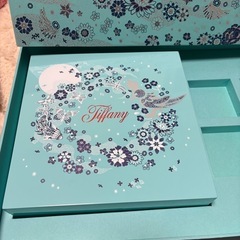 NO286 ティファニー 非売品 アクセサリーBOX  TIFFANY Coの画像