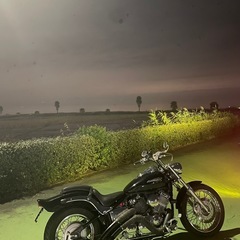 実走行1.6万km ドラッグスター400の画像