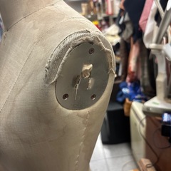 ★新入荷 女性用 トルソー の画像