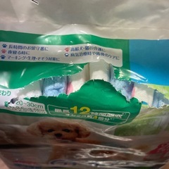 犬用おむつ（ssサイズ）の画像