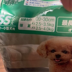 犬用おむつ（ssサイズ）の画像