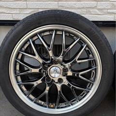 ロクサーニ　マルチフォルケッタの画像