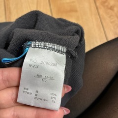 ミッキートレーナー110の画像