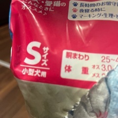 犬用おむつ（Sサイズ）の画像