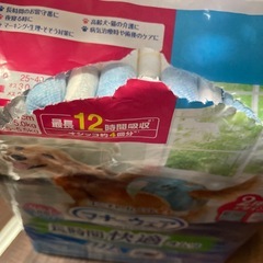 犬用おむつ（Sサイズ）の画像